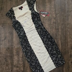 SCARLETT Lace Satin Black Cream Dress Sz 4 Nwt Fitted‎ Cap Sleeve